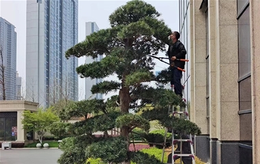 沙湖九號(hào)接待中心