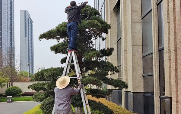 沙湖九號接待中心