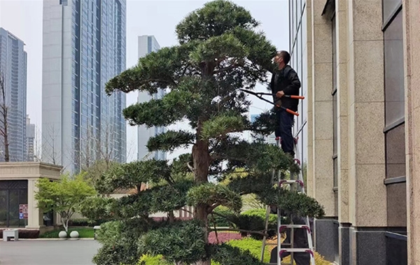 沙湖九號接待中心